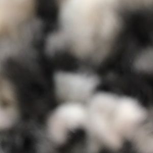 Meet your Posher, Ameena